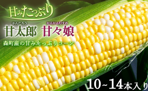 先行予約 とうもろこし 10～14本入り 田中農園 甘い 野菜 夏野菜 旬 夏 高糖度 産地直送 旬の野菜 季節の野菜 おやつ コーン 森のとうもろこし ロイシーコーン 甘太郎 先行 予約 2025 2025年 静岡 静岡県 森町 1158772 - 静岡県森町