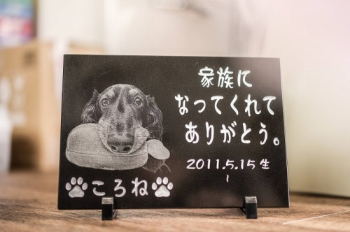 つち屋工房メモリアルペットプレート 1159086 - 埼玉県毛呂山町