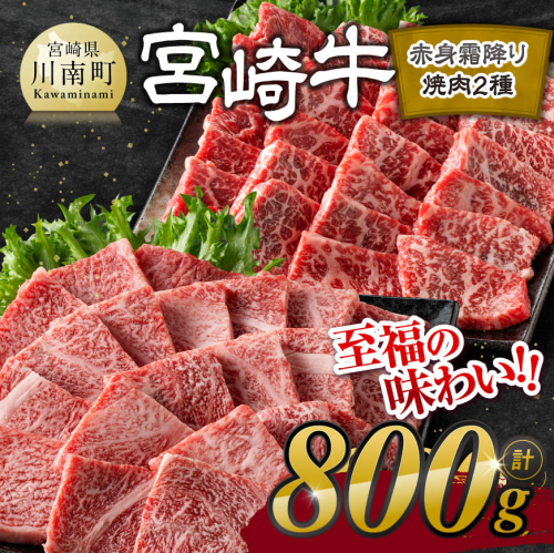 宮崎牛赤身霜降り焼肉2種 800g【肉 牛肉 国産 宮崎県産 宮崎牛 黒毛和牛 和牛 焼肉 BBQ 4等級  A4ランク 肩ロース ウデ モモ E11124】 1160651 - 宮崎県川南町