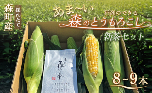 とうもろこし 新茶 セット 詰め合わせ しんちゃん農園の甘～い森のとうもろこし 8～9本 緑茶 1パック 野菜 トウモロコシ お茶 茶 日本茶 茶葉 静岡茶 煎茶 お茶っぱ 静岡 静岡県 森町 1165500 - 静岡県森町