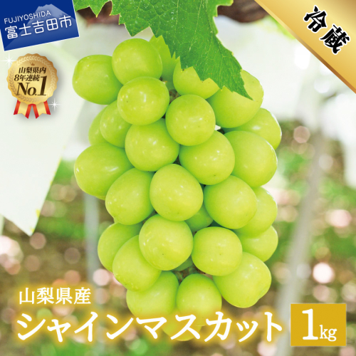 【2025年先行予約】数量限定！山梨県産シャインマスカット約1kg（2房）
 1165646 - 山梨県富士吉田市