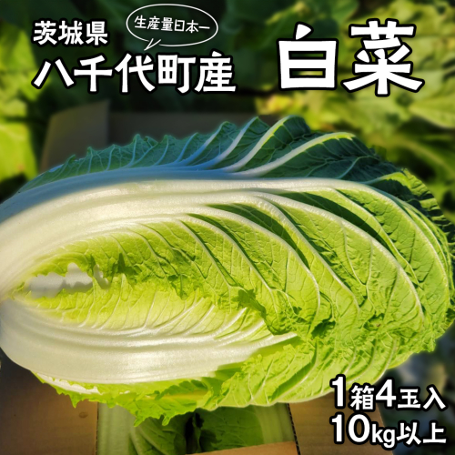 【2025年11月上旬より発送開始】 茨城県 八千代町産 白菜 はくさい 1箱 （ 4玉 ） 10kg 以上 生産量 日本一 農家直送 期間限定 ハクサイ 鍋 冬野菜 野菜 やさい 旬 ふるさと納税 6000円 八千代町 茨城 [AV009ya] 1166425 - 茨城県八千代町