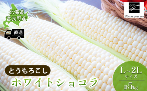 【2025年8月～発送】北海道 富良野市 とうもろこし ホワイトショコラ 白色 L～2L サイズ 計5kg ふらの 野菜 トウモロコシ とうきび 数量限定 (フラノプレゼンツ) 1166600 - 北海道富良野市