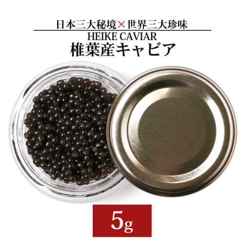 【訳あり】HEIKE CAVIAR  5ｇ 【宮崎県 椎葉村】【世界三大珍味×日本三大秘境】［宮崎 椎葉 国産 チョウザメ キャビア 5g 魚卵 卵 クリーミー お酒 魚介 珍味 加工品 冷凍 高級 高級食材 贅沢 世界三大珍味 お取り寄せ お取り寄せグルメ ディナー パーティー おつまみ グルメ ギフト 記念日 誕生日 プレゼント お祝い 贈り物 贈答 贈答品 桐箱 希少］【SZ-115】 116668 - 宮崎県椎葉村