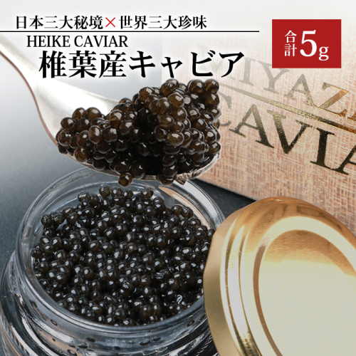 【桐箱入り】HEIKE CAVIAR 5ｇ 【宮崎県 椎葉村】【世界三大珍味×日本三大秘境】［宮崎 椎葉 国産 ちょうざめ チョウザメ きゃびあ キャビア 5g 魚卵 卵 クリーミー お酒 魚介 珍味 加工品 冷凍 高級 贅沢 お取り寄せ お取り寄せグルメ グルメ ディナー パーティー おつまみ ギフト 記念日 誕生日 プレゼント お祝い 贈り物 贈答 贈答品 桐箱 希少］【SZ-118】 116752 - 宮崎県椎葉村