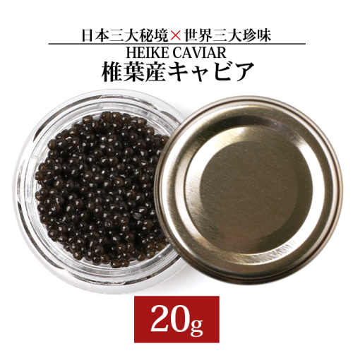 【訳あり】HEIKE CAVIAR  20ｇ 【宮崎県 椎葉村】フレッシュキャビア 【世界三大珍味×日本三大秘境】［宮崎 椎葉 国産 ちょうざめ チョウザメ きゃびあ キャビア 20g 魚卵 卵 クリーミー お酒 魚介 珍味 加工品 冷凍 高級 贅沢 お取り寄せ ディナー パーティー おつまみ グルメ ギフト 記念日 誕生日 プレゼント お祝い 贈り物 贈答 父 母 桐箱 希少］【SZ-117】 116837 - 宮崎県椎葉村