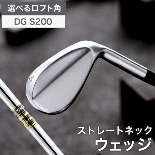 044BD07N.叡智オリジナルウェッジ(DGS200) 1168511 - 兵庫県市川町
