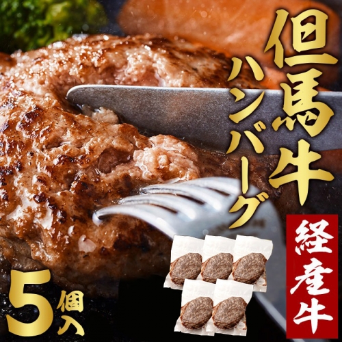 010AA09N.但馬牛 経産牛 ハンバーグ（150g×5個） 116873 - 兵庫県市川町