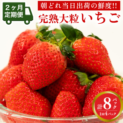 【 2ヶ月 定期便 】完熟 いちご 4パック ( 大粒 ) 先行予約 大粒 イチゴ 苺 フルーツ 果物 かおり野 とちおとめ やよいひめ [AF100ci] 1169805 - 茨城県筑西市