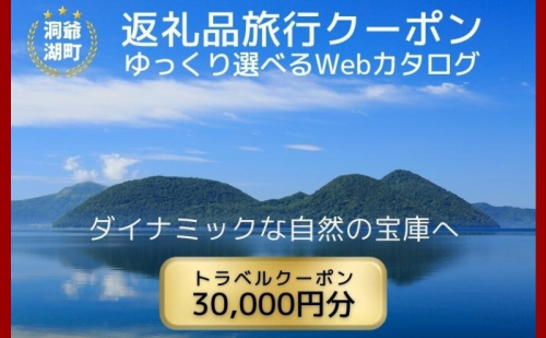 北海道ツアー 洞爺湖温泉 後から選べる旅行Webカタログで使える！ 旅行クーポン（30,000円分） 旅行券 宿泊券 飲食券 体験サービス券 北海道 1169871 - 北海道洞爺湖町