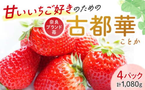 【 数量限定 出荷 】古都華（イチゴ） 予約受付中 早期終了 予定あり いちご イチゴ 厳選 大ちゃんの 古都華（270ｇ入×4パック）先行予約 いちご 苺 奈良ブランド苺 イチゴ ブランド 古都華 大粒 苺 旬 産地 直送 フレッシュ 新鮮  いちご農家だるま 奈良県 奈良市 I-285