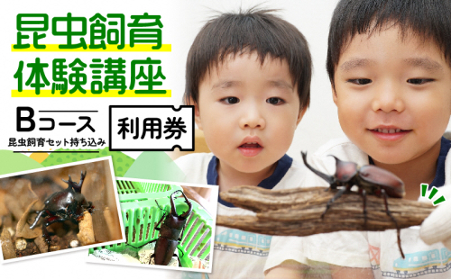 【幼児～小学生対象】昆虫飼育体験講座Bコース（昆虫・飼育セット各自お持ち込み＜体験：9月～12月の各日曜日＞）ご利用券（1名様） 体験チケット 生き物 子供 キッズ  1172816 - 京都府南山城村