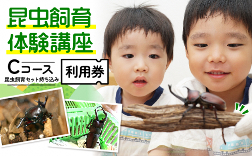 【幼児～小学生対象】昆虫飼育体験講座Cコース（昆虫・飼育セット各自お持ち込み＜体験：1月～3月の各日曜日＞）ご利用券（1名様） 体験チケット 生き物生き物  1172817 - 京都府南山城村