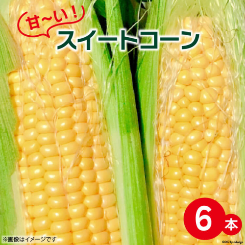 【期間限定発送】 甘～い ! スイートコーン 6本 [よしろーさんちの農園 山梨県 中央市 21470396] とうもろこし トウモロコシ コーン やさい 野菜 旬野菜 旬 季節限定 期間限定 冷蔵 1173016 - 山梨県中央市