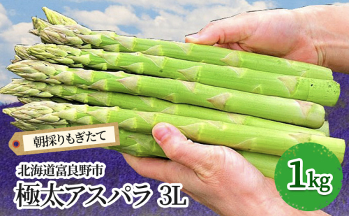 【2026年春発送】極太 グリーンアスパラ 3Lサイズ 1kg 北海道 富良野市産 (スイートベジタブルファクトリー) 1173871 - 北海道富良野市