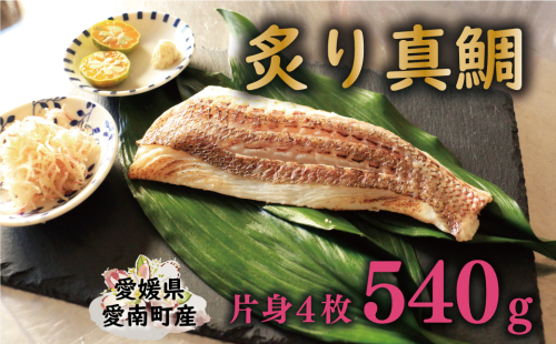 炙り 真鯛 切り身 4柵 合計 540g （ 270g ×2 パック ） 朝〆 まだい 鯛 愛南町 新鮮 冷凍 愛媛県 神経締め 皮引き 三枚おろし 国産 魚介 特産品 魚介類 海産物 鮮魚 養殖 産地直送 海鮮 ブランド 刺身 海鮮丼 塩焼き 煮付け 酒蒸し カルパッチョ 鯛飯 鯛しゃぶ 鯛めし 鯛茶漬け 鯛漬け お正月 お祝い 年末 年始 紅白 めでたい 真空 パック 柵 愛南サン・フィッシュ 1174777 - 愛媛県愛南町