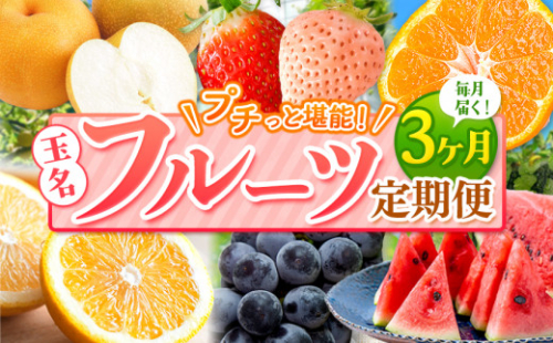 【 定期便 3回 】 プチっと 堪能 ！ 人気 フルーツ | 赤いちご 白いちご イチゴ みかん 不知火 デコポン スイカ ぶどう 梨 太秋柿 果物 くだもの 定期便 3回 熊本県 玉名市 フルーツ定期 フルーツ定期便 果物定期便 果物定期 定期便 フルーツ 果物
