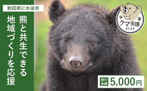 《クマといい距離プロジェクト》寄附のみ5,000円 1177073 - 秋田県にかほ市