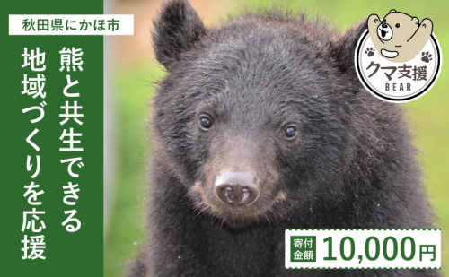 《クマといい距離プロジェクト》寄附のみ10,000円 1177078 - 秋田県にかほ市