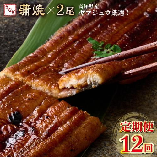 ヤマジュウ厳選!国産蒲焼き2尾【12回定期便】 1178116 - 高知県室戸市