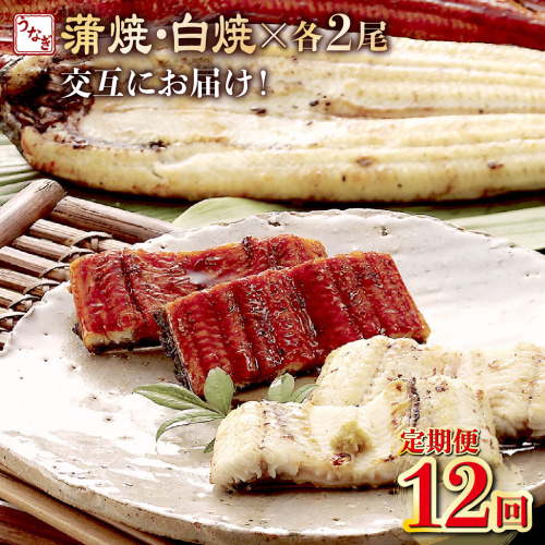 蒲焼き・白焼きを交互にお届け！国産うなぎ２尾【全１２回定期便】 _ うなぎ 鰻 ウナギ 2尾 国産 高知県産 蒲焼き 白焼き かばやき 冷凍 うな重 ひつまぶし タレ ランキング 人気 12回 定期便 1178273 - 高知県室戸市