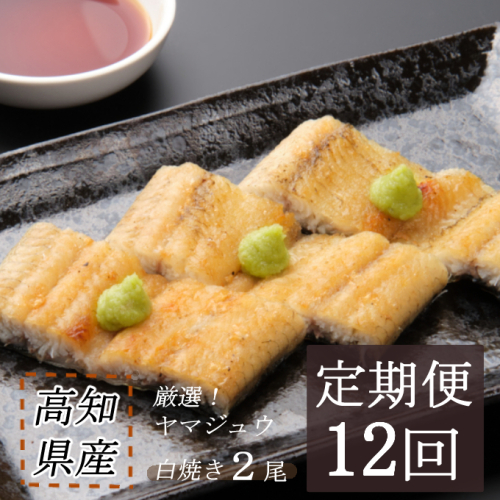 ヤマジュウ厳選!国産うなぎ白焼き2尾【12回定期便】 1178721 - 高知県室戸市