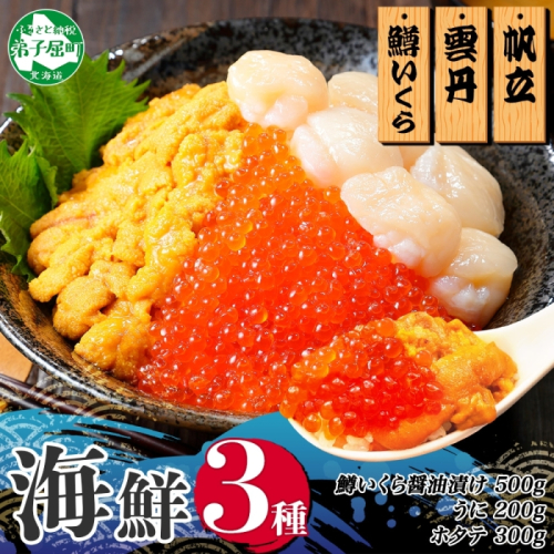 3350. 3種 海鮮丼 鱒 いくら醤油漬け 100g×5 5-6人前 ウニ チリ産 雲丹 うに 200g ホタテ 300g 帆立 いくら いくら醤油 イクラ 魚卵 海鮮 送料無料 北海道 弟子屈町 117911 - 北海道弟子屈町