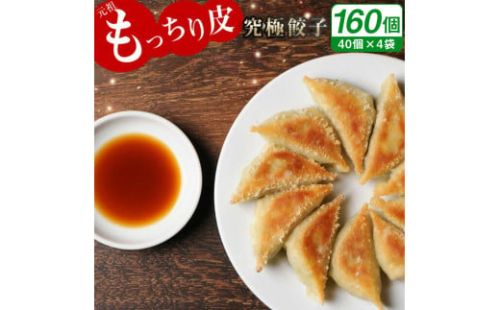 【宮崎空港で大人気!】＜馬渡のもっちり餃子160個＞2～3週間以内に順次出荷 餃子の馬渡 1183857 - 宮崎県高鍋町