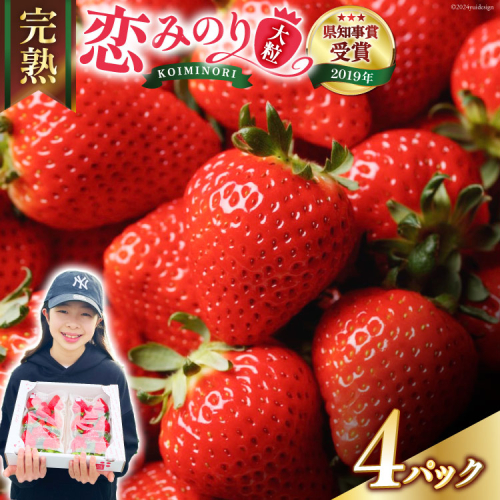 【期間限定発送】 いちご 恋みのり 大粒 1kg以上 [キチ・フィールド 長崎県 雲仙市 item1715] イチゴ 苺 果物 フルーツ 完熟 ストロベリー 長崎県産 季節限定 1184130 - 長崎県雲仙市