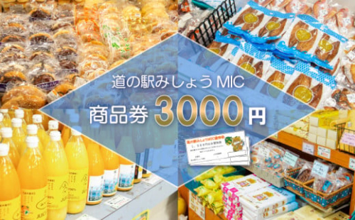 商品券 3000円分 道の駅 お買い物券 柑橘類 みかん 魚貝類 鰹 かつお 野菜 さつまいも 果物 くだもの フルーツ お菓子 スイーツ お土産 みしょうMIC 愛媛県 愛南町 1184714 - 愛媛県愛南町