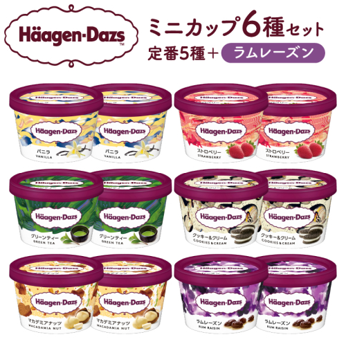 ハーゲンダッツ『ミニカップ12個セット（定番フレーバー＆ラムレーズン味）』アイスクリーム アイス スイーツ デザート_H0016-003 1186736 - 北海道浜中町