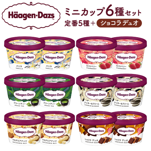 ハーゲンダッツ『ミニカップ12個セット（定番フレーバー＆ショコラデュオ味）』アイスクリーム アイス スイーツ デザート_H0016-004 1186738 - 北海道浜中町