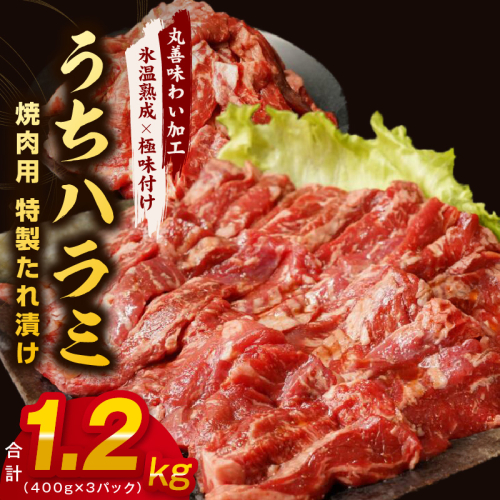 【希少部位】牛肉 うちハラミ 1.2kg 小分け 400g×3P【氷温熟成×特製ダレ 味付き 牛肉 訳あり 不揃い 焼肉 BBQ 野菜炒め】 mrz0029 1187539 - 大阪府泉佐野市