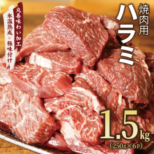 牛肉 ハラミ 1.5kg 小分け 250g×6P【氷温熟成×極味付け 牛肉 訳あり 不揃い 焼肉 BBQ 野菜炒め】 mrz0022 1187544 - 大阪府泉佐野市