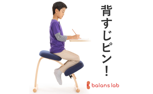 バランスイージー カバーなし 選べる カラー 姿勢強制イス 姿勢がよくなる椅子 子供 大人 姿勢強制 姿勢がよくなる 椅子 バランス イージー いす イス 学習椅子 姿勢をよくする グッズ インテリア 家具 日本製 岐阜 岐阜県 美濃市 1188225 - 岐阜県美濃市