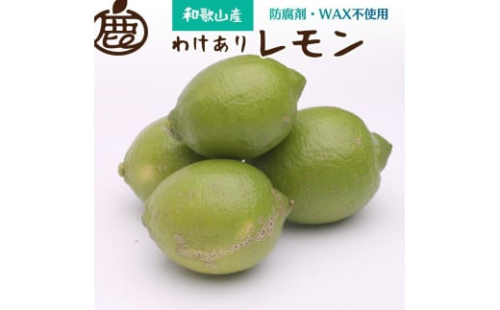 ［先行予約］わけあり レモン1.5kg+250g（傷み補償分）［和歌山有田産］［防腐剤・WAX不使用、安心の国産レモン］［わけあり・訳ありレモン］ 1190185 - 和歌山県有田川町
