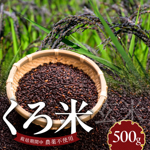 米くろ米500g N0182-YA0472 1190687 - 宮崎県延岡市