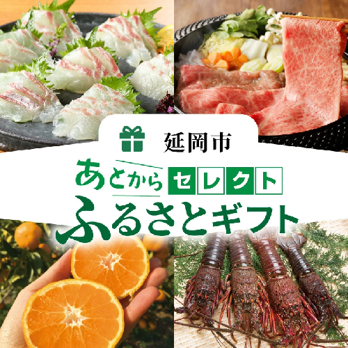 あとからセレクト3万円 N0159-YC075 1190877 - 宮崎県延岡市