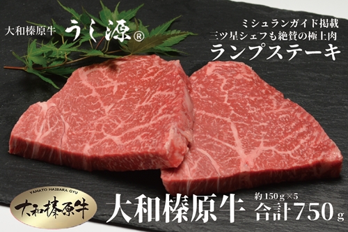 （冷凍） 大和榛原牛 稀少部位 赤身 あっさり もも ランプ ステーキ 150ｇ×5枚 計750ｇ ／ うし源 本店 ふるさと納税 A5 父の日 キャンプ バーベキュー 奈良県 宇陀市 お中元 贈答用 贈り物 暑中見舞い お土産 お歳暮 内祝いまとめ買い 美味しい部位 キャンプ 送料無料 正月 1191644 - 奈良県宇陀市