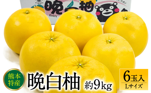 【先行予約】 熊本県八代市産 晩白柚 Lサイズ 6玉入り 約9kg 果物 くだもの フルーツ 柑橘類 青果物 特産品 お取り寄せ 【2025年12月中旬より順次発送】 1193745 - 熊本県八代市