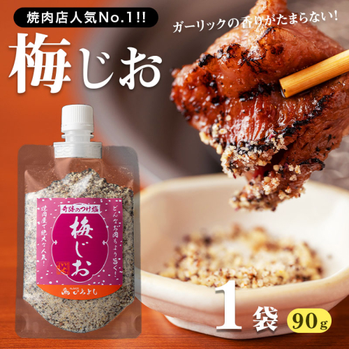 【スピード発送】焼き肉専門店 梅じお ガーリック スパイス 90g×1袋 お試し W118 1200746 - 大阪府泉佐野市
