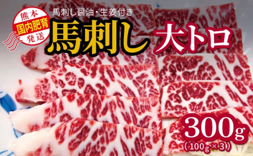 国内肥育 馬刺し 大トロ 300g 馬刺し?油・生姜付き 熊本発送 | 熊本県 熊本 くまもと 和水町 なごみまち なごみ 馬刺し 馬肉 大トロ 冷凍 300g 1200808 - 熊本県和水町