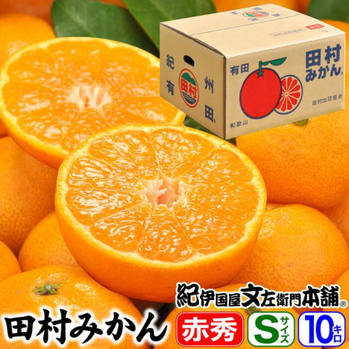 V7444_田村みかん／特選ギフト品10kg【Sサイズ】赤秀 / 紀州和歌山有田郡湯浅町田村地区産 / 最高級プレミアムブランドの田村ミカン / 紀伊国屋文左衛門本舗(お届け日指定不可) 1201901 - 和歌山県湯浅町