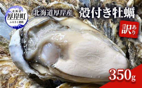 訳あり 北海道 厚岸産 殻付き 牡蠣 350g 魚貝類 生牡蠣 海の幸 海鮮 オイスター 濃厚な甘み グルメ マルえもん 1202046 - 北海道厚岸町