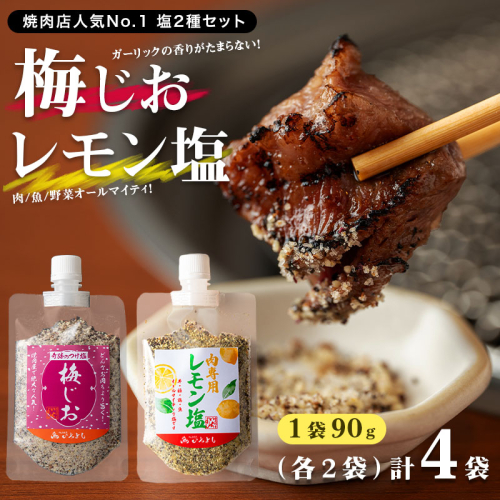 【スピード発送】焼き肉専門店 梅じお レモン塩 スパイスセット 90g×合計4袋 お試し 099H2494 1203224 - 大阪府泉佐野市