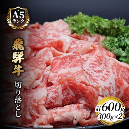 飛騨牛切り落とし　600ｇ(300g×2) 牛肉 お肉 国産 黒毛和種 柔らかい とろける くちどけが良い 霜降り 細かいサシ 食材 食卓 グルメ  1209550 - 岐阜県池田町