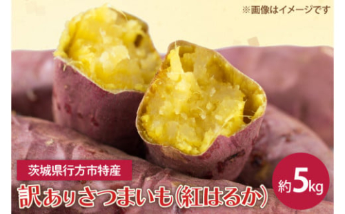 【2025年12月より順次発送】茨城県産 紅はるか 訳あり サイズミックス　約5kg｜訳あり わけあり 訳アリ さつまいも サツマイモ さつま芋 紅はるか べにはるか 芋 いも 茨城県産 行方市(FU-1)