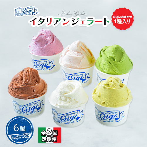 【定期便：全2回】ジェラテリアGigiのイタリアンジェラート６種(Gigiのおまかせ1種入り）【カップサイズ6個】 (牛乳、ピスタチオ、抹茶、チョコレート、ブルーベリーヨーグルト、Gelateria Gigiが選ぶおまかせジェラート)【43006701】 1210926 - 北海道恵庭市