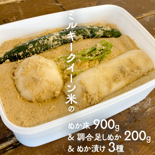 ミルキークイーン米 ぬか床  900g & 調合足しぬか200g & ぬか漬け 3種 セット 米 お米 コメ こめ ミルキークイーン ぬか漬け ぬか ぬかどこ 野菜 [BJ009ci] 1211442 - 茨城県筑西市