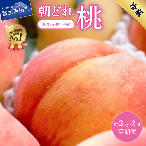 【2025年先行予約】【2回定期便】山梨朝どれ桃2kg×2回配送（白鳳系・白桃系） 1212065 - 山梨県富士吉田市